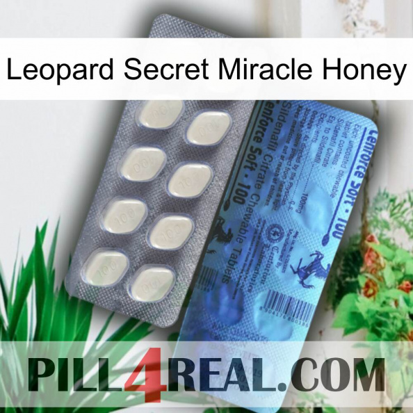 Leopard Secret Miracle Honey 34.jpg